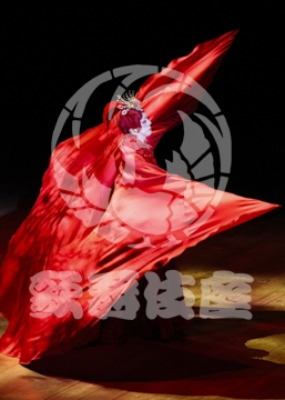 【12月】火の鳥