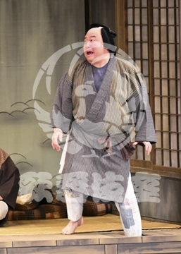 【12月】芝浜革財布