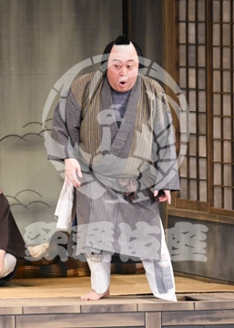 【12月】芝浜革財布