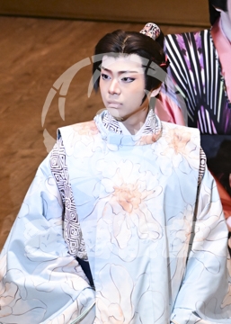 【12月】火の鳥