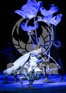 【12月】火の鳥