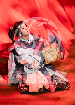 【12月】火の鳥