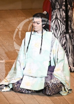 【12月】火の鳥