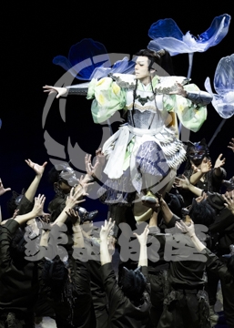 【12月】火の鳥