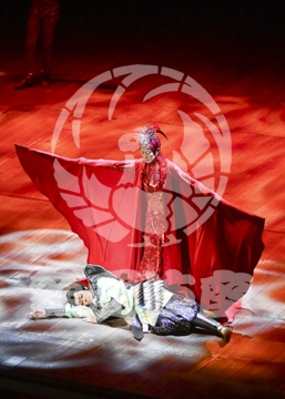 【12月】火の鳥