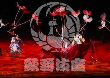 【12月】火の鳥