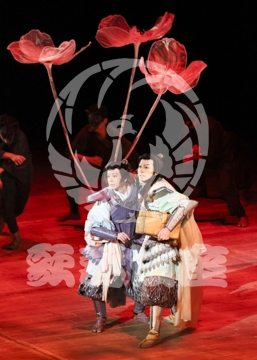 【12月】火の鳥