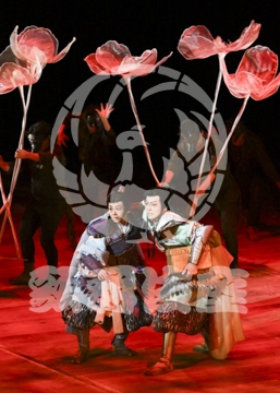 【12月】火の鳥