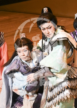 【12月】火の鳥