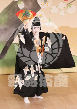 【1月】當午歳歌舞伎賑萬歳