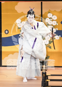 【1月】蜘蛛絲梓弦