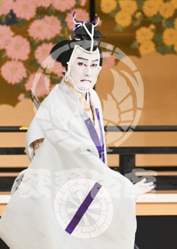 【1月】蜘蛛絲梓弦