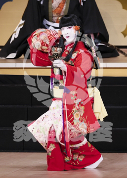 【1月】蜘蛛絲梓弦