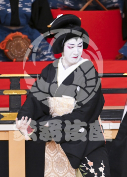 【1月】蜘蛛絲梓弦