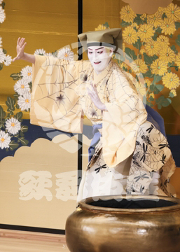 【1月】蜘蛛絲梓弦