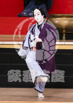 【1月】蜘蛛絲梓弦