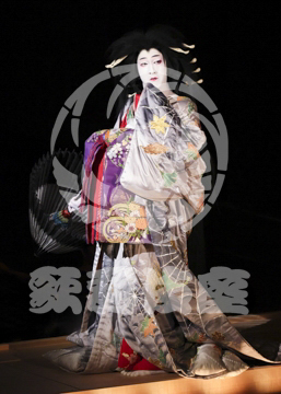 【1月】蜘蛛絲梓弦