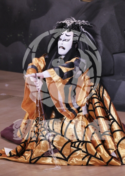 【1月】蜘蛛絲梓弦