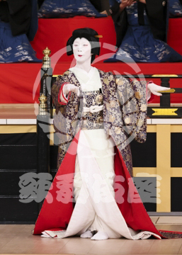 【1月】蜘蛛絲梓弦