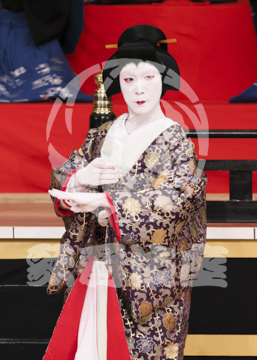 【1月】蜘蛛絲梓弦