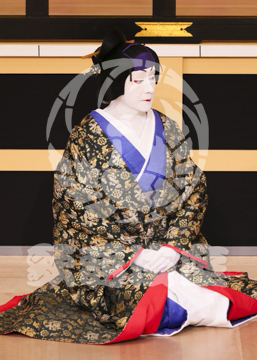 【1月】蜘蛛絲梓弦