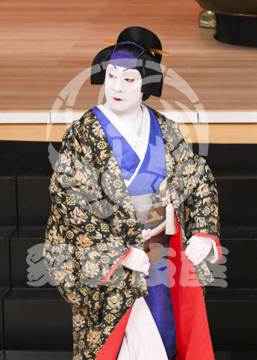 【1月】蜘蛛絲梓弦