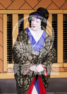 【1月】蜘蛛絲梓弦