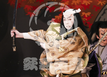 【1月】蜘蛛絲梓弦