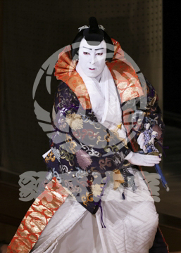 【1月】蜘蛛絲梓弦