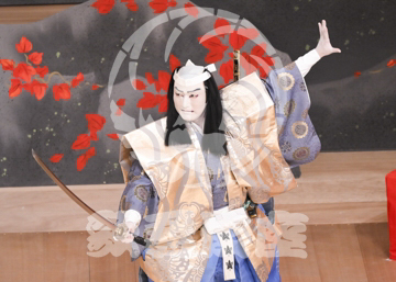 【1月】蜘蛛絲梓弦