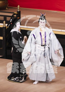 【1月】蜘蛛絲梓弦