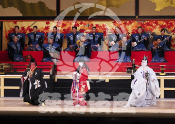 【1月】蜘蛛絲梓弦