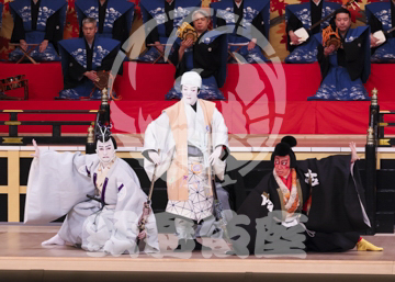 【1月】蜘蛛絲梓弦