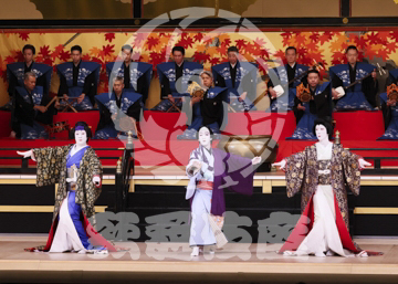 【1月】蜘蛛絲梓弦