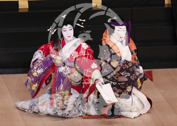 【1月】蜘蛛絲梓弦