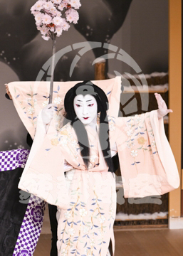 【2月】積恋雪関扉