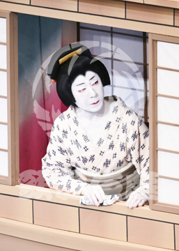 【2月】梅ごよみ