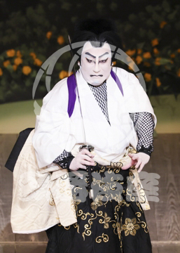 【3月】加賀見山再岩藤