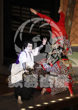 【3月】加賀見山再岩藤