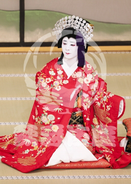 【3月】加賀見山再岩藤