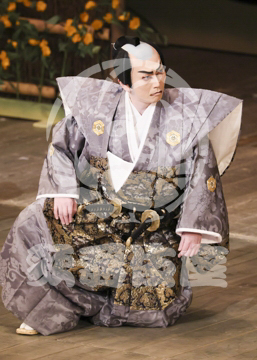 【3月】加賀見山再岩藤