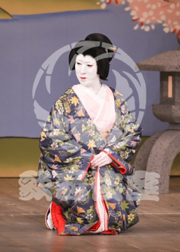 【3月】加賀見山再岩藤