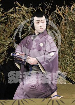 【3月】加賀見山再岩藤