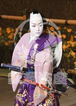 【3月】加賀見山再岩藤