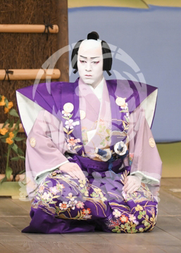 【3月】加賀見山再岩藤