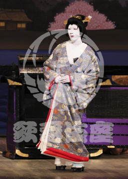 【3月】加賀見山再岩藤