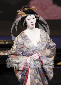 【3月】加賀見山再岩藤