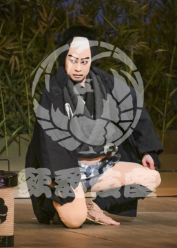 【3月】加賀見山再岩藤