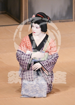 【3月】加賀見山再岩藤