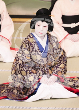 【3月】加賀見山再岩藤